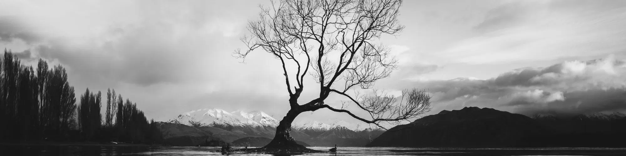 From the desk of composer Jocelyn Hagen