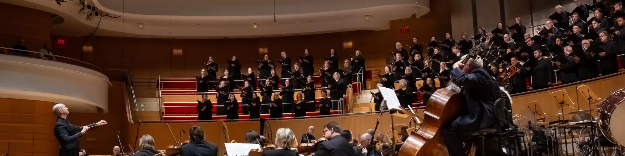 Highlights: Chichester Psalms